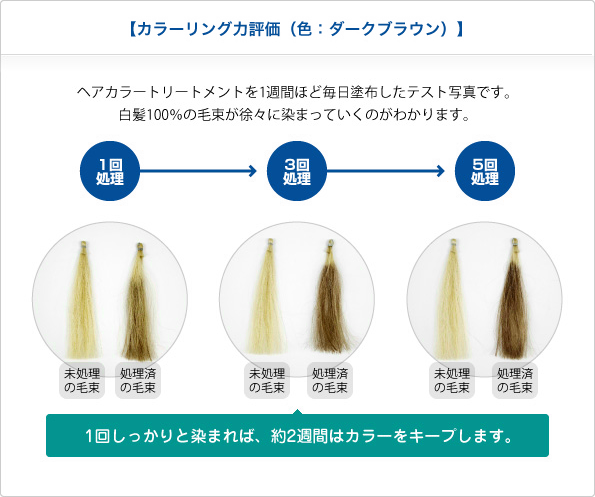 徐々に しっかり染まるから目立たない 自然なカラーチェンジ ヘアカラートリートメント Osn おシゴト粧界ナビ