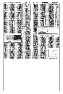 資生堂、次世代ミネラルサンスクリーン技術を開発