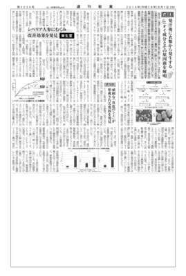 資生堂、シベリア人参にむくみ改善効果を発見